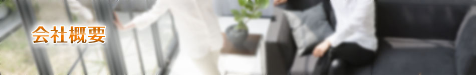 �s���Y�����Ǝ��Y�^�p�ߐő΍�R���T���^���g�̃A�Z�b�g���C�t�}�l�W�����g������ЁA��ЊT�v