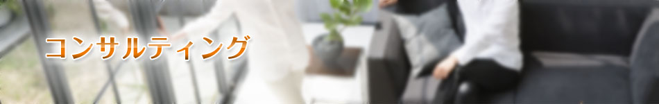 �s���Y�����Ǝ��Y�^�p�ߐő΍�R���T���^���g�̃A�Z�b�g���C�t�}�l�W�����g������ЁA�R���T���e�B���O�ɂ���